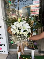 Kazablanka ve Papatya Buketi